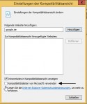 internet-explorer-google-falsch-2