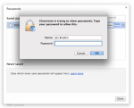 chromium-show-passwords-640x519