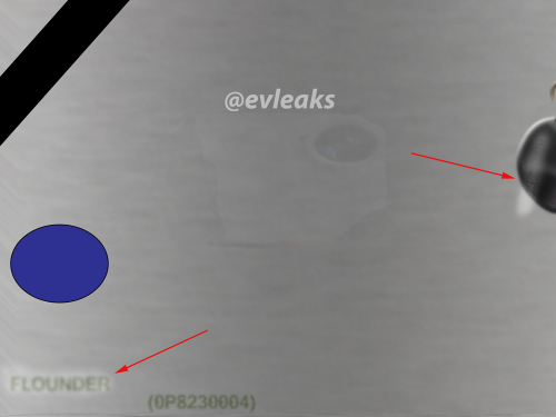 volantis[1]