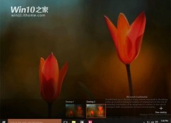 10064-screenshots007