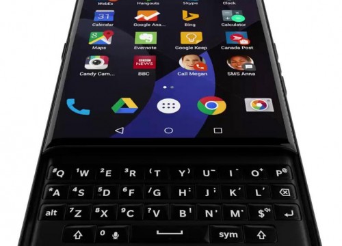 Blackberry Venice