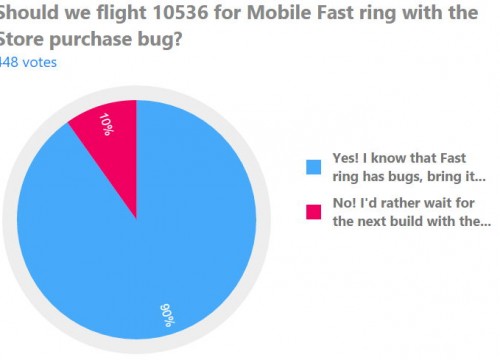10536-store-bug-1