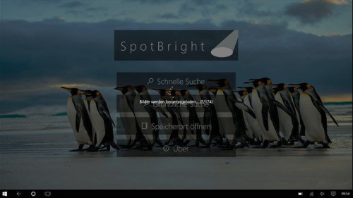 SpotBright-1
