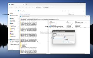Windows 11 Katalog entfernen Datei Explorer -e88865ea-0e1c-4e20-9aa6-edcd0212c87c-.jpg