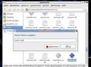 Windows mit Linux knacken