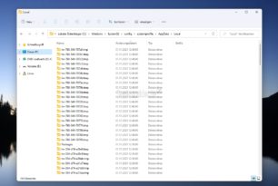 Windows 11 / 10 – Leere TW-Ordner werden immer noch angelegt beim Login [Update]