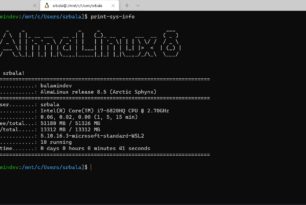 AlmaLinux 8 WSL steht im Microsoft Store zum Download bereit