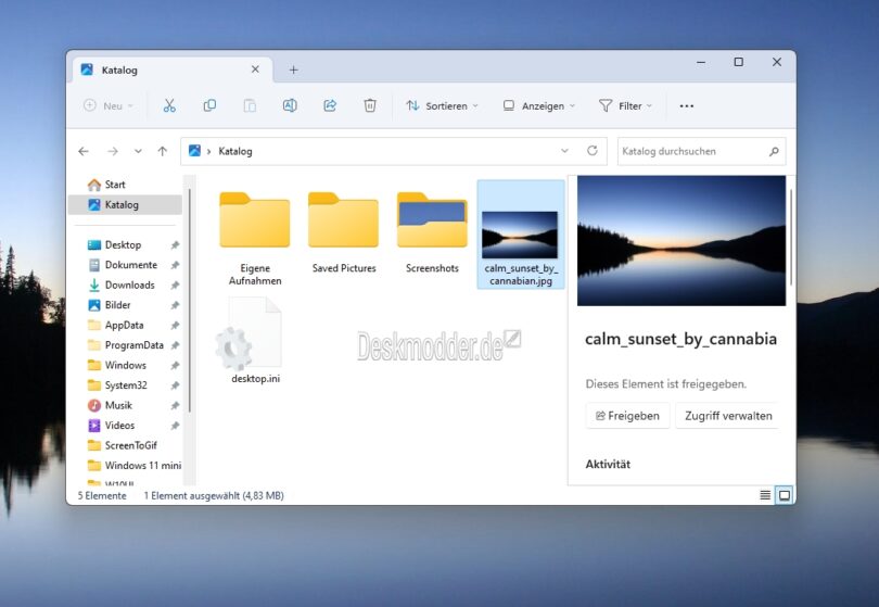 Windows 11 Datei Explorer mit Galerie (Katalog) Werden die