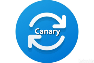 KB5025849 Windows 11 25324.1011 als neues Update im Canary Kanal