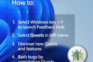 Windows 11 (Dev und Canary) und Server 2025 Bug Bash vom 28.02. – 4.03.2024