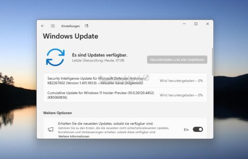 KB5060836-Windows-11-24H2-Manueller-Download-26120-4452-im-Beta-Kanal
