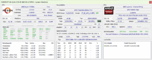 Die Informationen von HWiNFO zum Acemagic LX15 Pro