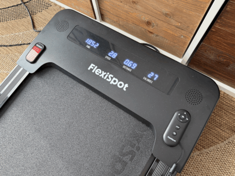 Das Display samt Fernbedienung vom FlexiSpot GP01