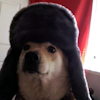 Benutzeravatar