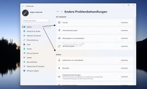 Problembehandlungen unter Windows 11.jpg