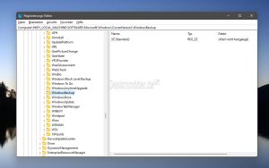 Sichern und Wiederherstellen (Windows 7) loeschen Windows 11 003.jpg