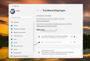 Websuche deaktivieren Windows 11.jpg