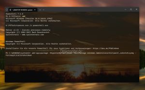 Einstellungen mit psexec zuruecksetzen Windows 11.jpg