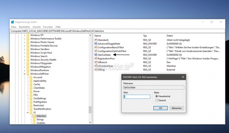 Datei:Erhalt von Vorabversionen beenden Registry Windows 10.jpg