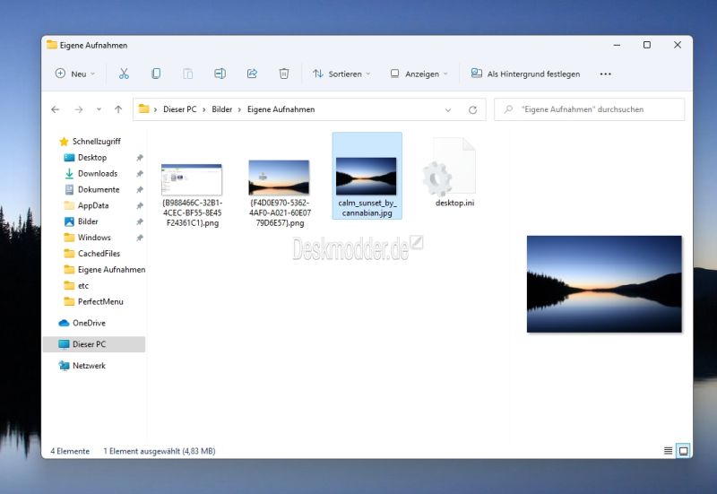 Datei:Vorschaufenster und Detailbereich Windows 11 aktivieren.jpg