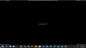 Abgesicherter Modus Windows 11 009.jpg