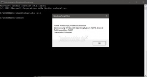 Windows-10-OEM-oder-Retail.jpg