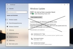 Funktionsupdate erzwingen Windows 10 003.jpg