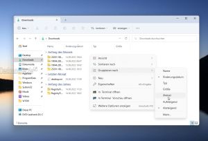 Gruppieren im Datei Explorer deaktivieren Windows 11 Download 001.jpg