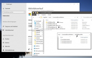 Speicherort Aktivitaetsverlauf Windows 10.jpg
