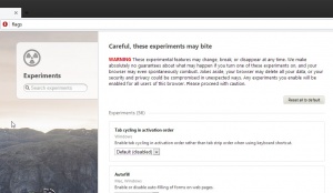 Erweiterte-einstellungen-opera-flags.jpg