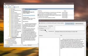 Funktionsupdate erzwingen Windows 10 001.jpg