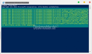 Store-reparieren-powershell-windows-10-2.jpg