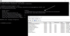 Welche ist die Partition fuer die Systemwiederherstellung Recovery.jpg