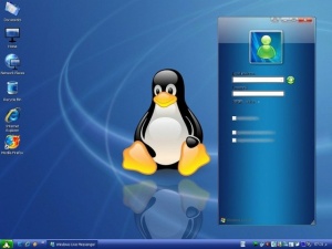 Installer28.jpg