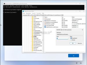 HideOnlineAccountScreens Windows 11 Installation Lokal 001.jpg