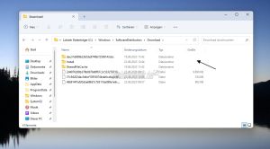 Ein einzelnes Update im Update Cache loeschen Windows 11 und 10.jpg
